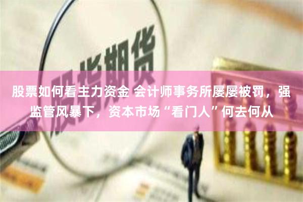 股票如何看主力资金 会计师事务所屡屡被罚，强监管风暴下，资本市场“看门人”何去何从