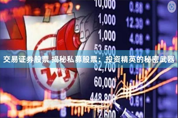 交易证券股票 揭秘私募股票：投资精英的秘密武器