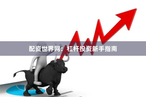 配资世界网：杠杆投资新手指南