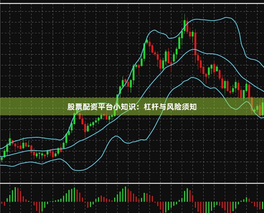 股票配资平台小知识：杠杆与风险须知